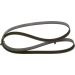 Keilrippenriemen VW,OPEL,FORD,RENAULT 1987947948 Keilrippenriemen VW,OPEL,FORD,RENAULT 1987947948
