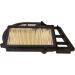 Motorluftfilter. X-Max 250 100 602 421 Motorluftfilter. X-Max 250 100 602 421