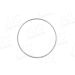 Sensorring ABS Diverse 56335
