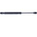 MONROE Gasfeder, Koffer-/Laderaum ML5341