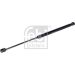 FEBI BILSTEIN Gasdruckfeder 14061 FEBI BILSTEIN Gasdruckfeder 14061