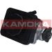 KAMOKA Hydraulikpumpe, Lenkung PP046 KAMOKA Hydraulikpumpe, Lenkung PP046