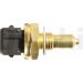 DELPHI Temperatursensor TS10270