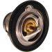 Thermostat, Kühlmittel TH7413.82J