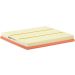 FILTRON Luftfilter AP 023/5