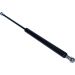 Gasfeder, Koffer-/Laderaum 12-0120