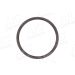Sensorring ABS CITROEN 55466