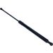 Gasfeder, Motorhaube 12-0064
