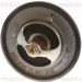 Thermostat, Kühlmittel 8620 8088