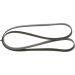 Keilrippenriemen VW,SKODA,TOYOTA,AUDI 1987947951 Keilrippenriemen VW,SKODA,TOYOTA,AUDI 1987947951