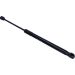 Gasfeder, Hinten L 441,5 350N 605893 Gasfeder, Hinten L 441,5 350N 605893
