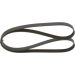 Keilrippenriemen AUDI,DAIHATSU,SEAT,ALFA 1987946294