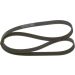 Keilrippenriemen AUDI,SEAT,VW 1987946102 Keilrippenriemen AUDI,SEAT,VW 1987946102