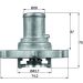 Integralthermostat mit Dichtung TI 122 87D
