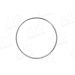 Sensorring ABS MERCEDES 55411