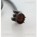 Sensor, Raddrehzahl 818029352