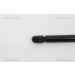 Gasfeder, Motorhaube 871029123