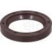 Dichtring 302.589 Dichtring 302.589