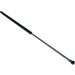 Gasfeder, Koffer-/Laderaum 12-0077