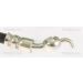 Bremsschlauch 815013284