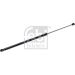 GASFEDER, KOFFER-/LADERAUM FE180708