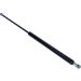 Gasfeder, Koffer-/Laderaum 12-0072