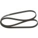 Keilrippenriemen VW,OPEL,BMW,SEAT 1987947547 Keilrippenriemen VW,OPEL,BMW,SEAT 1987947547