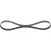 Keilrippenriemen FIAT Stilo Elastic 1987946116 Keilrippenriemen FIAT Stilo Elastic 1987946116
