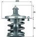 Thermostateinsatz mit Dichtung TX 79 78D