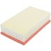 FILTRON Luftfilter AP 134/7