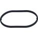 O-Ring Diverse 2440210049