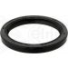 Dichtring 005.580 Dichtring 005.580