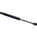 Gasfeder, Hinten L 273 420N 873072 Gasfeder, Hinten L 273 420N 873072