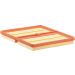 FILTRON Luftfilter AP 062/2