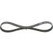 Keilrippenriemen FORD Elastic 1987946126