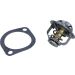 Thermostateinsatz mit Dichtung TX 179 89D Thermostateinsatz mit Dichtung TX 179 89D