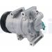 DELPHI Kompressor, Klimaanlage CS20517