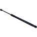 Gasfeder, Vorne L 449 190N Opel Insignia 17 LIFT-O-MAT® 497152 Gasfeder, Vorne L 449 190N Opel Insignia 17 LIFT-O-MAT® 497152
