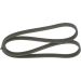 Keilrippenriemen SEAT,VW 1987946211