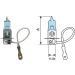 MAGNETI MARELLI Birne 002604100000 BLUE LIGHT