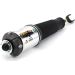 Arnott Luftfederbein VA re AUDI A8 w/Suspension 02-11 AS-2562