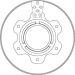 15 481 179 Bremsscheibe HA DF6743S