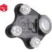 Gelenk - Radaufhängung Vw P. A1 10-/Polo 07-/Ibiza 02-/Fabia 07-/Roomster 06- Pr ProKit 36052