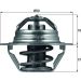 Thermostateinsatz mit Dichtung TX 100 89D