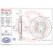 Bremsscheibe VA Xtra ALFA Giulia 15 XTRA LINE - Xtra 09.C495.1X Bremsscheibe VA Xtra ALFA Giulia 15 XTRA LINE - Xtra 09.C495.1X