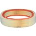 FILTRON Luftfilter AR 037