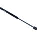 Gasfeder, Koffer-/Laderaum 12-0037