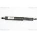 Gasfeder, Koffer-/Laderaum 871029264