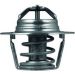 Thermostateinsatz mit Dichtung TX 91 89D