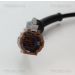 Sensor, Raddrehzahl 818014219
